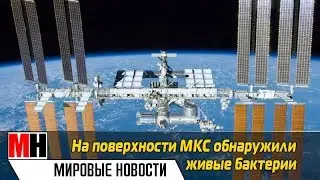 НА МКС ОБНАРУЖЕНЫ ЖИВЫЕ БАКТЕРИИ ВНЕЗЕМНОГО ПРОИСХОЖДЕНИЯ