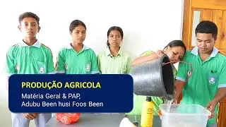 Episódio 468, Produção Agrícola, Matéria Geral & PAP, aula 2, Adubu Been husi Foos Been Aluna Celi