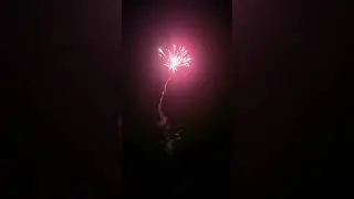 Silvester 2024