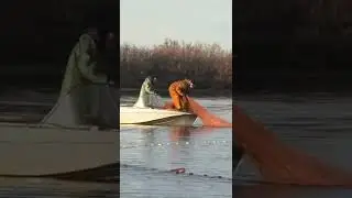 🤔 Как ловить рыбу неводом 