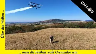 Auffi gehts aufn Berg zum Schwammal suchn ...