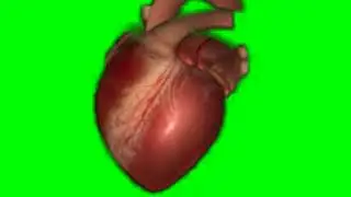 Real Heart beat efects on green screen