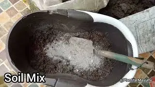 MY SOIL MIX : ASMR