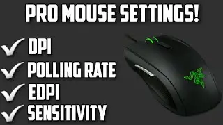 What The Pro's Are Using (DPI, Polling Rate, EDPI) - Pro Mouse Settings!