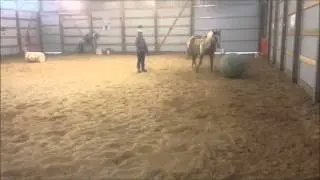 Michelle and Tigger 2nd part liberty level 4 -Passed!
