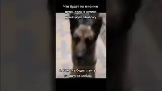 19 сентября 2023 г.