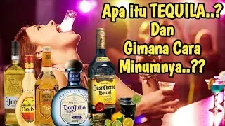 APA ITU TEQUILA DAN BAGAIMANA CARA MEMINUMNYA?? | SIMPLE BEVERAGE KNOWLEDGE