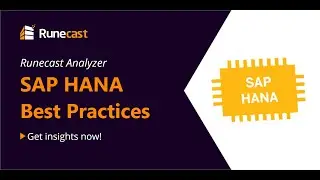 SAP HANA Best practices in Runecast Analyzer