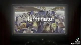 Terminator