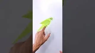 Paper Parrot Tutorial 🦜