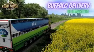 Euro Truck Simulator 2 | BUFFALO DELIVERY | NO COMMENTARY | 4k 60fps gameplay