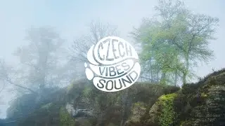 danyvin - Shelter