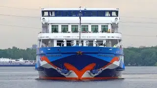 m/s City Lights in Action