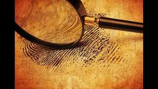 История - НЕРАСКРЫТОЕ ПРЕСТУПЛЕНИЕ.