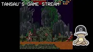 Tansau Live Stream
