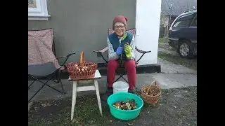 Незнайомі прикарпатські ліси: гриби.