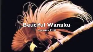 Agustine Emil -  PNG Music