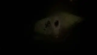 Diablo 4 2024 06 08   10 28 21 02
