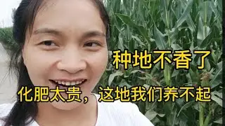 化肥涨价到220一袋，比起去年多出不是一星半点，谁还种得起这地