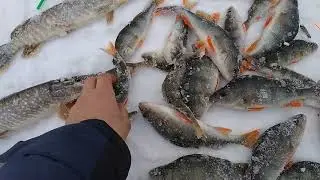 Итог рыбалки на малой реке. Щука окунь