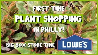 First Time PLANT SHOPPING in Philly!! | Big Box Store Edition