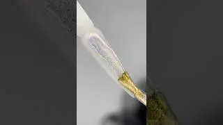 Коллекция  Shell 🐚 гель лак с эффектом втирки