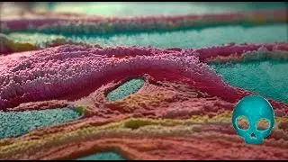Abstract Boxes [Particle Flow Tutorial]