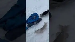 Рыбалочка
