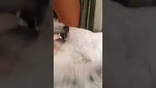 хахахахахахах