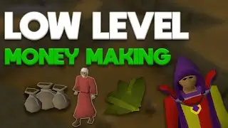 Top 5 Low Level Money Makers in OSRS 2022