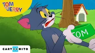 Tom und Jerry | Vogelbad-Blues | Cartoonito