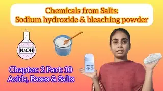 L : 2 Part :10 Chemicals from Salts - NaOH & Bleaching powder | Science for Class 10th (2023-24))