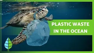 Plastic Waste & OCEAN POLLUTION 🛍️🌊 Causes, Consequences and Solutions!