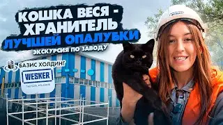 Все лучшее - в моей родной Калужской области! Завод по производству опалубки «Базис Холдинг»