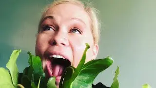 Tropical plant company🌴Penny’s plants🌷and Anniestore2010🌺