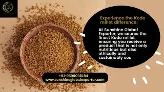 Kodo millet: Tiny Powerhouse, Big Benefits ...