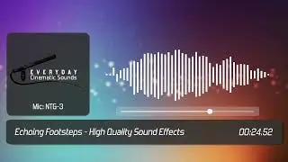 Echoing Footsteps | HQ Sound Effects