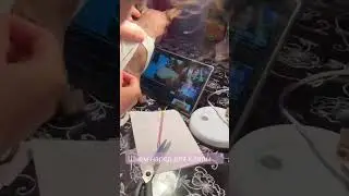 #сфинксы #кошки #кот #хвосты
