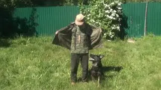 Ножны скрытого ношения