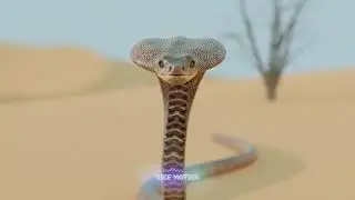 3D motion наятокс