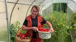 Готовим вкуснейший Лечо из своего урожая!