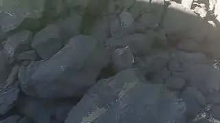 KOMR NARX NOVOLARI KOMR SIZON BOSHLADI