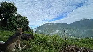 Gaou se Delhi tak ka safar #tech_jaiveer #uttarakhand #minivlog #pahadi #youtubeshorts #youtube