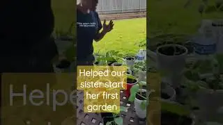 We helping our sister with her first garden☮️❤️💡 