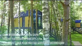 «БАРН»