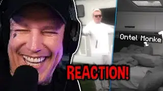 SO war das NICHT! 🤣 Satter Hugo Reaktion | MontanaBlack Reaktion
