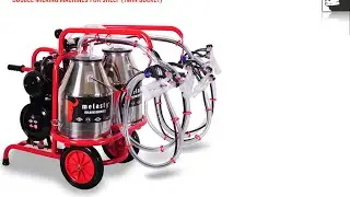 Milking Machine for Goats and Sheeps - MELASTY®