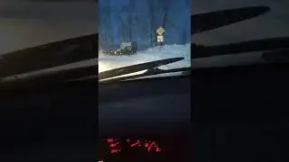 ДТП Соликамск 17.01.2022г. около ИК-9
