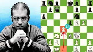 Mequinho Vs Judit Polgar - O Ataque MAIS AGRESSIVO do Xadrez