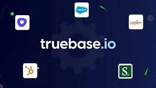 www.brandsmarkstudios.com | Motion Graphic animation for Truebase